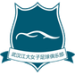 Wuhan Jiangda W logo
