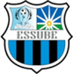 Essube logo