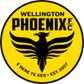Wellington Phoenix II logo