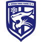 Wuhan Three Towns II logo