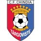 Chindia Targoviste logo