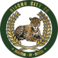 Riacho City U20 logo