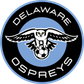 Delaware FC logo