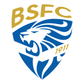 Union Brescia logo