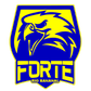 Forte FC logo