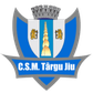 CSM Targu Jiu logo