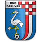 Daruvar logo