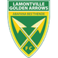 Golden Arrows logo