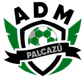AD Municipal Palcazú logo