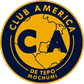 América de Tepo logo