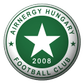 Airnergy FC logo