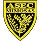 ASEC Mimosas W logo