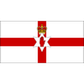 Northern Ireland U19 W logo