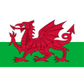 Wales U19 W logo
