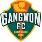 Gangwon FC logo