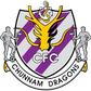 Jeonnam Dragons logo