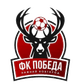 Pobeda Nizhniy Novgorod logo