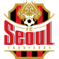 FC Seoul logo