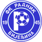 Radnik Bijeljina logo