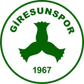 Giresunspor logo