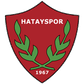 Hatayspor logo