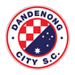 Dandenong City logo