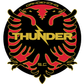 Dandenong Thunder logo