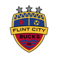 Flint City Bucks logo