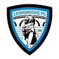 Lionsbridge logo