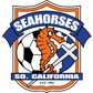 Seahorses logo