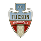Tucson logo