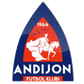 Andijan logo
