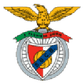 Benfica Castelo Branco logo