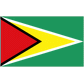 Guyana logo
