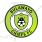 Bulawayo Chiefs logo