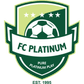 Platinum logo