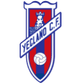 Yeclano logo