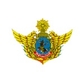 National Defense logo