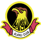 Al Ahli logo