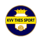Thes Sport logo