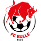 Bulle logo
