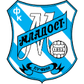 Mladost Lucani logo