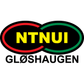 NTNUI logo