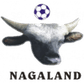 Nagaland logo