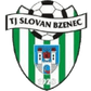 Bzenec logo