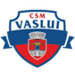 CSM FC Vaslui logo