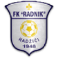 Radnik Hadžići logo