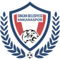 Ankaraspor logo