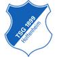 Hoffenheim U19 logo