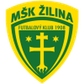 Žilina U19 logo